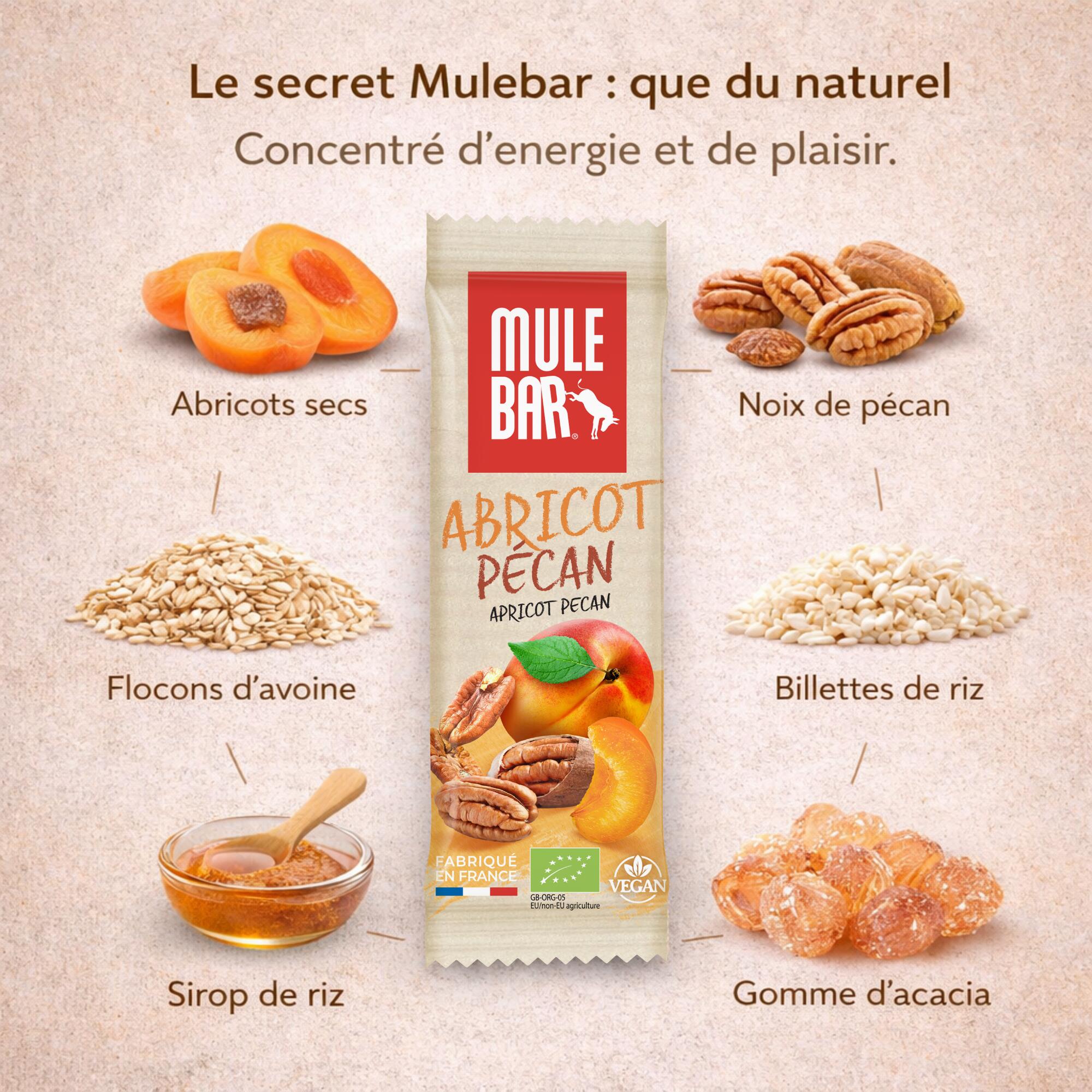 Barre énergétique aux céréales - bio - vegan - 40g - Abricot - Noix de Pécan 3/5
