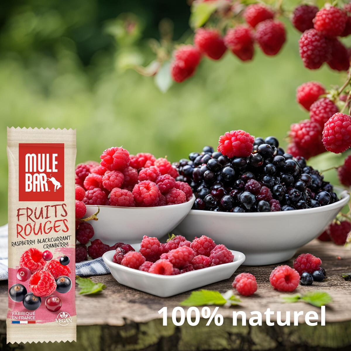 Barre énergétique aux céréales - vegan - 40g - Cassis - Canneberge - Framboise 3/6