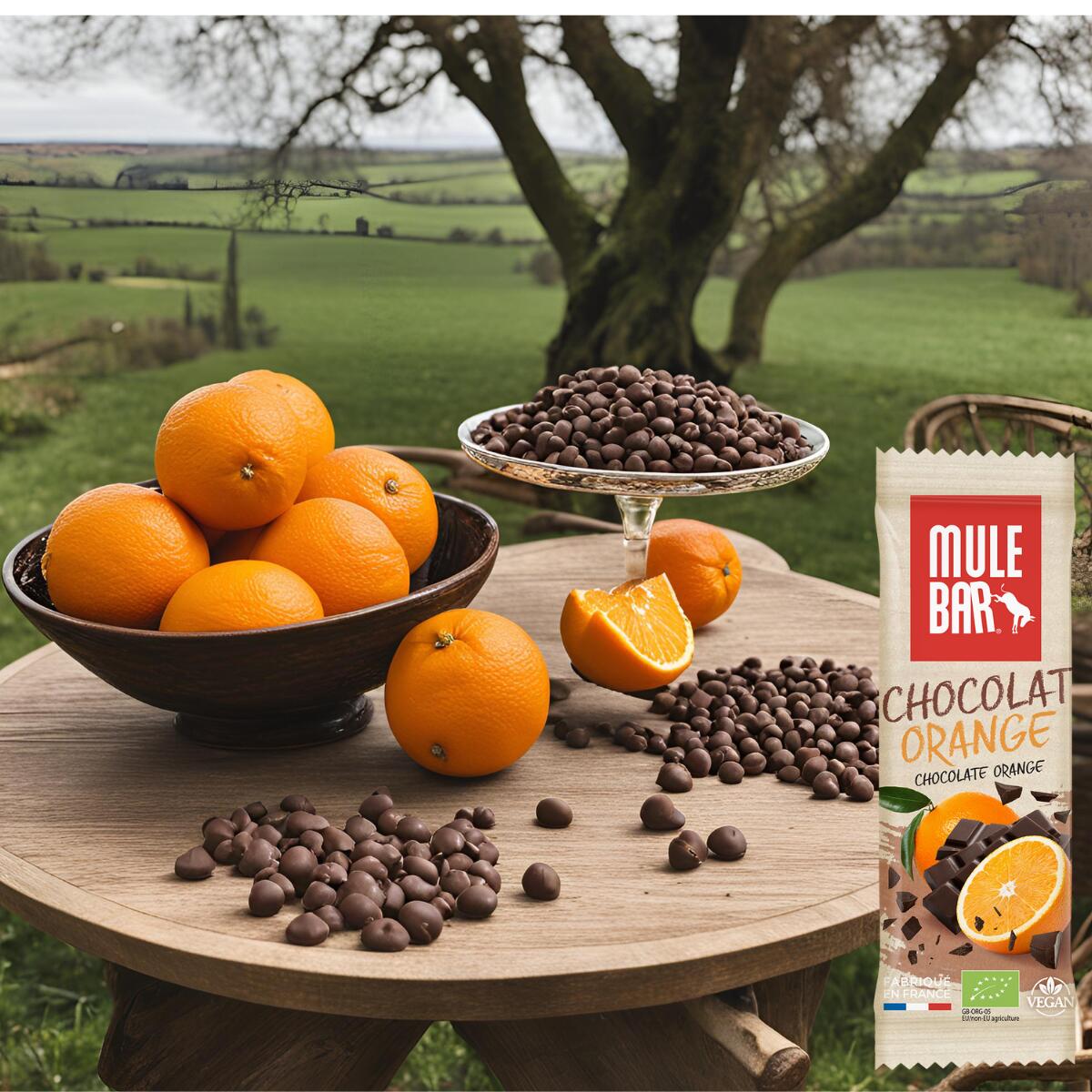 Barre énergétique aux céréales - bio - vegan - 40g - Chocolat - Orange 3/4