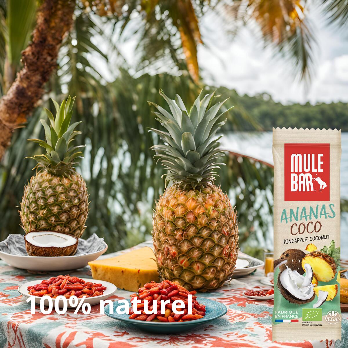 Barre énergétique aux céréales - vegan - 40g - Ananas - noix de coco - Goji 3/6