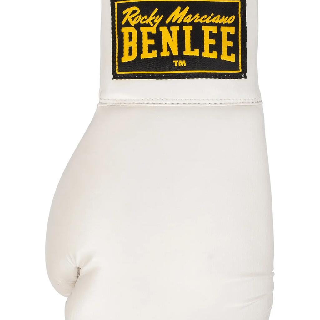 Pair of boxing gloves Benlee Autogramm