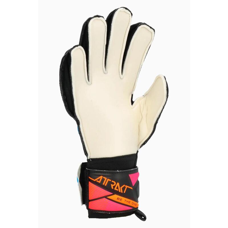 Manusi portari Attrakt Solid Seniori