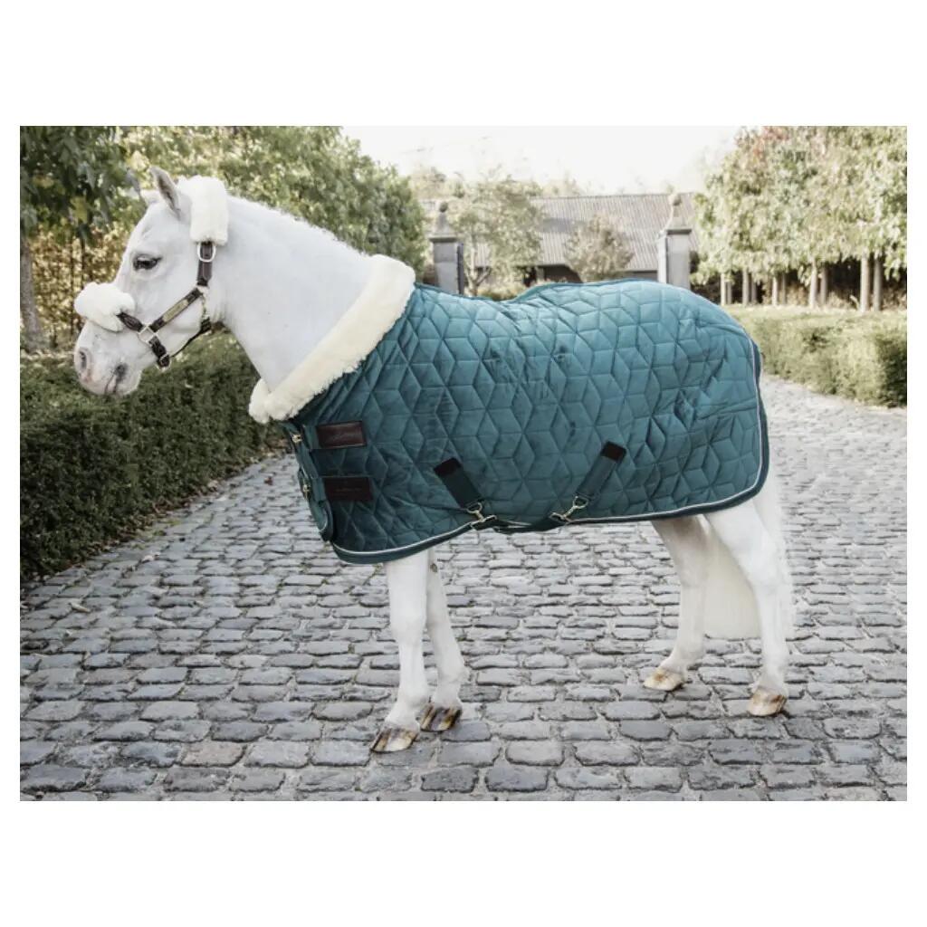 Show Rug Velvet émeraude 80-4'0 160g 2/5