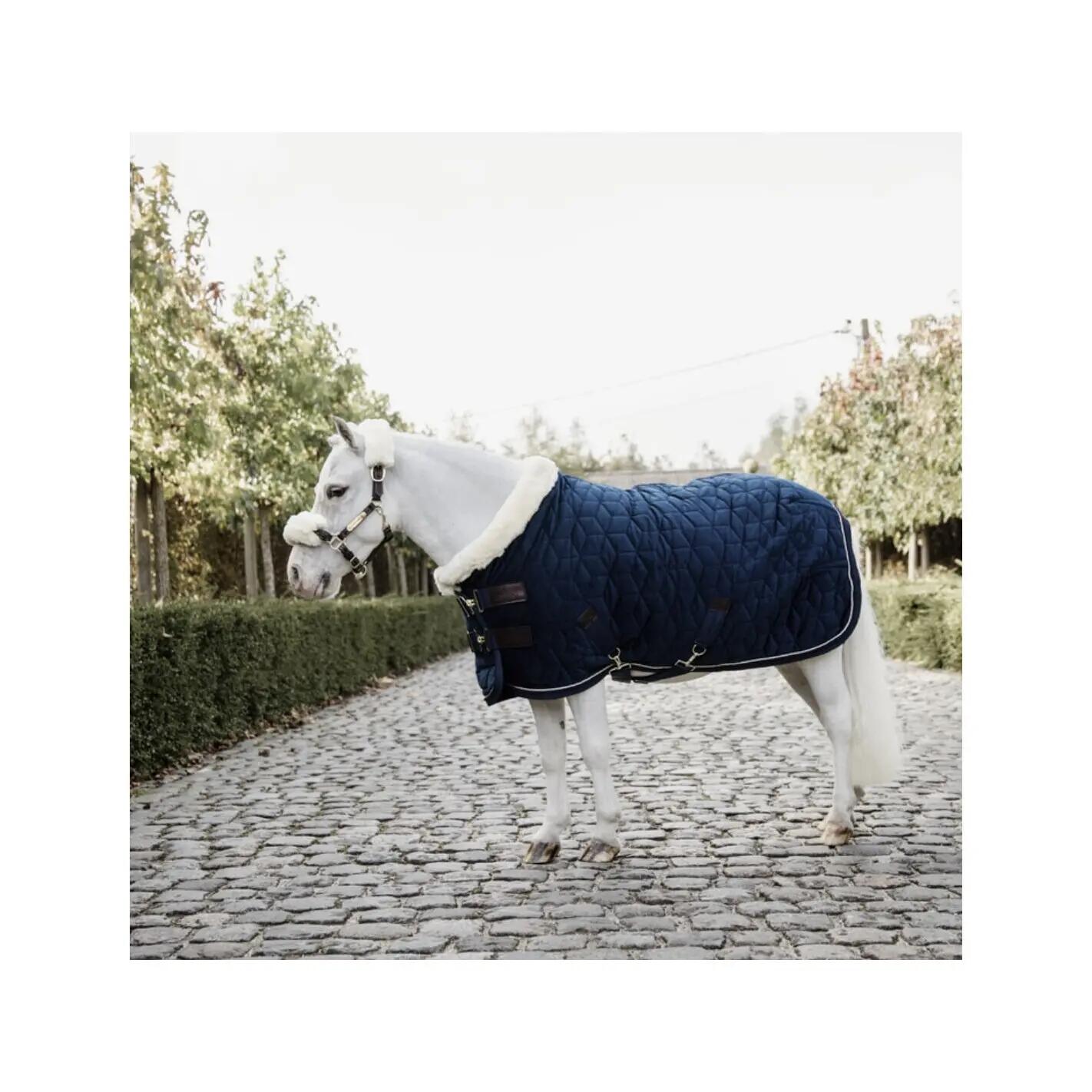 Show Rug Velvet marine 80-4'0 160g 2/5