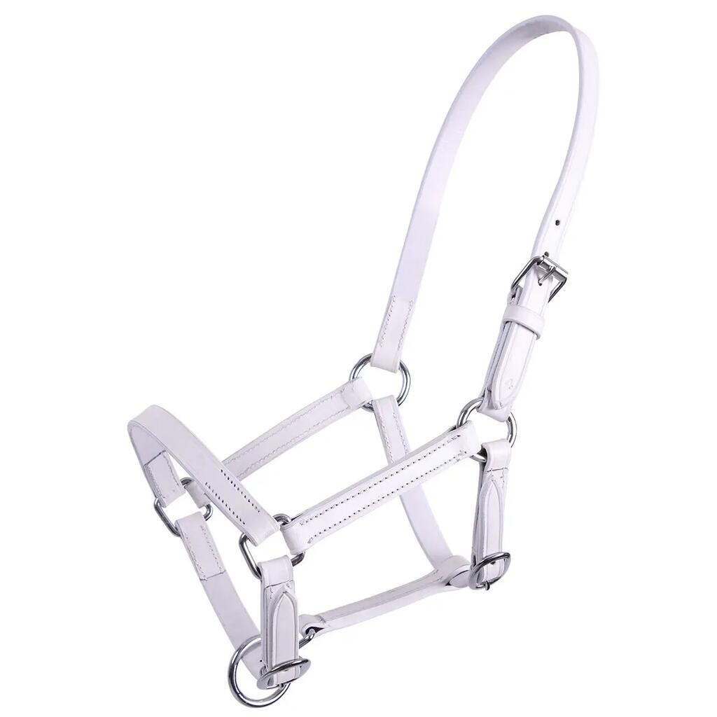 Leather foal halter Q-essentials Chico