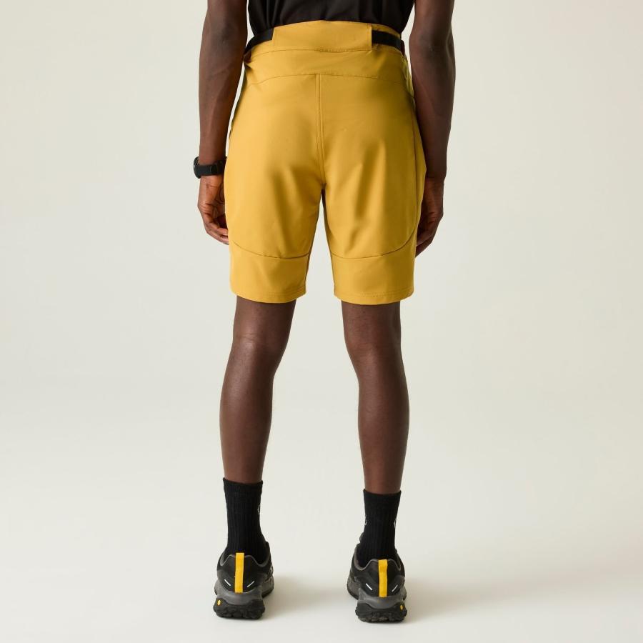 Shorts Dare 2B Tuned In Pro 6/6