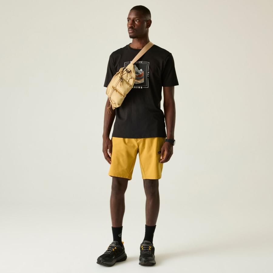 Shorts Dare 2B Tuned In Pro 4/6