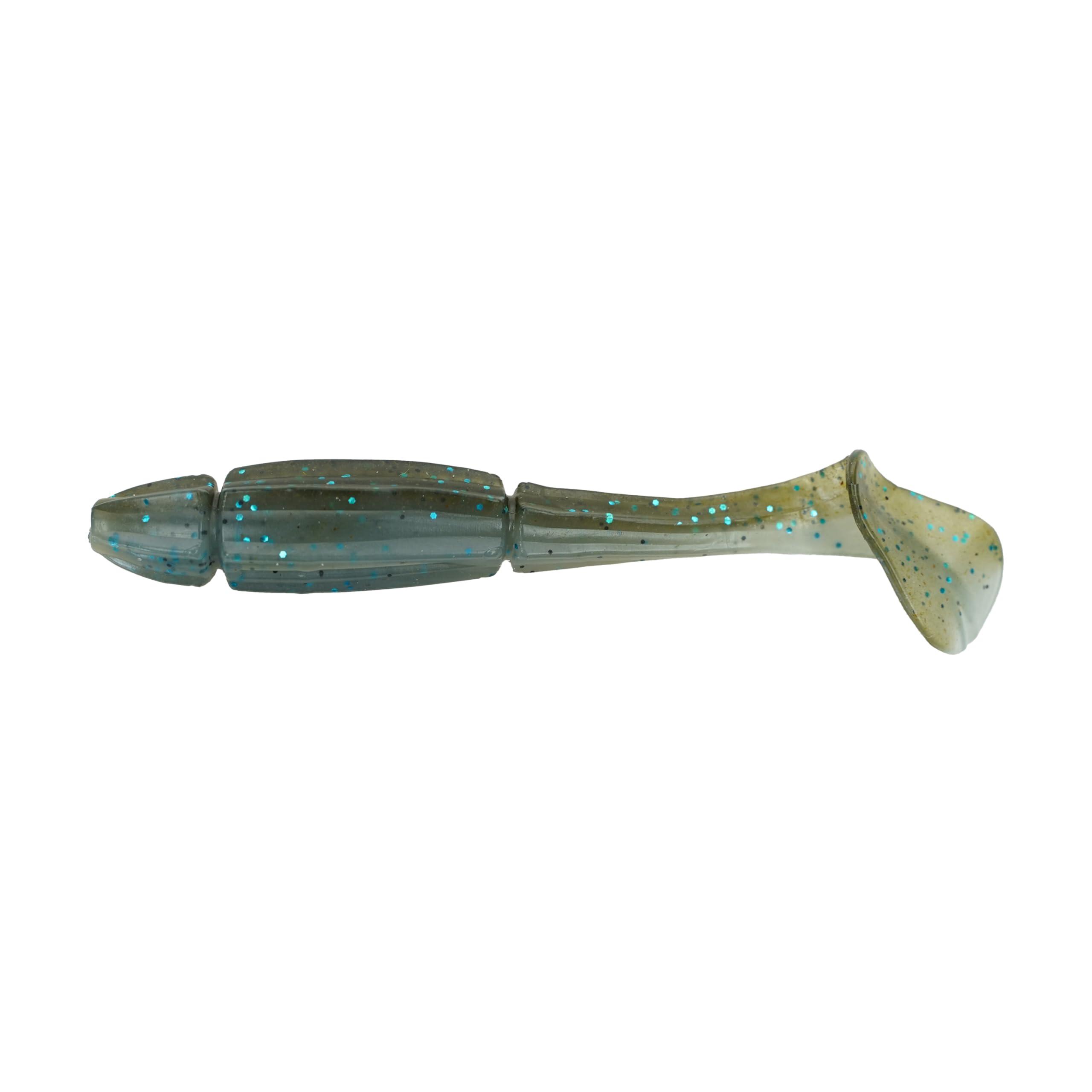 Softbait Set Hecht 400g 10-15cm in Box Raubfisch 3/5
