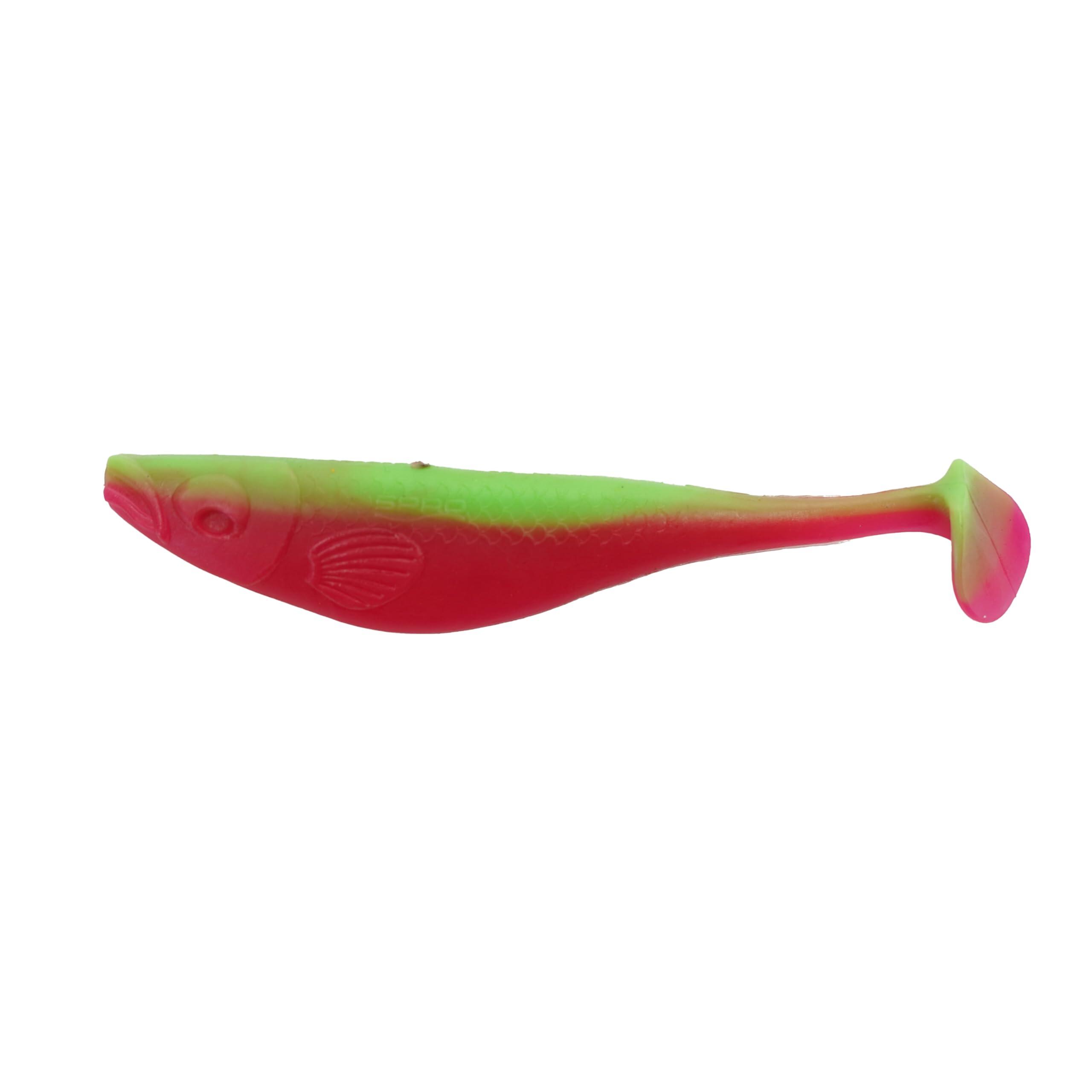 Softbait Set Hecht 400g 10-15cm in Box Raubfisch 2/5