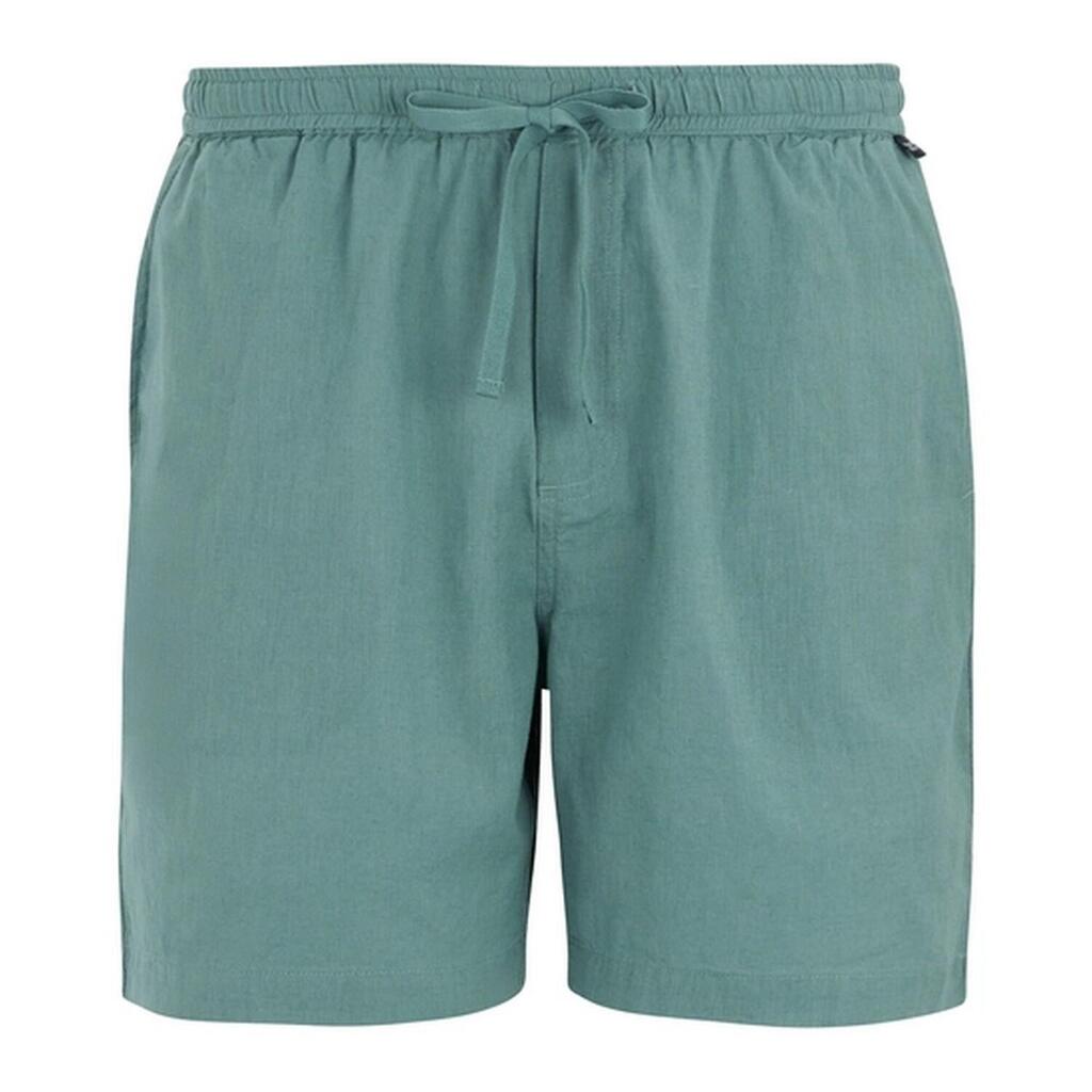 Mens Hadlin Shorts (Arctic)