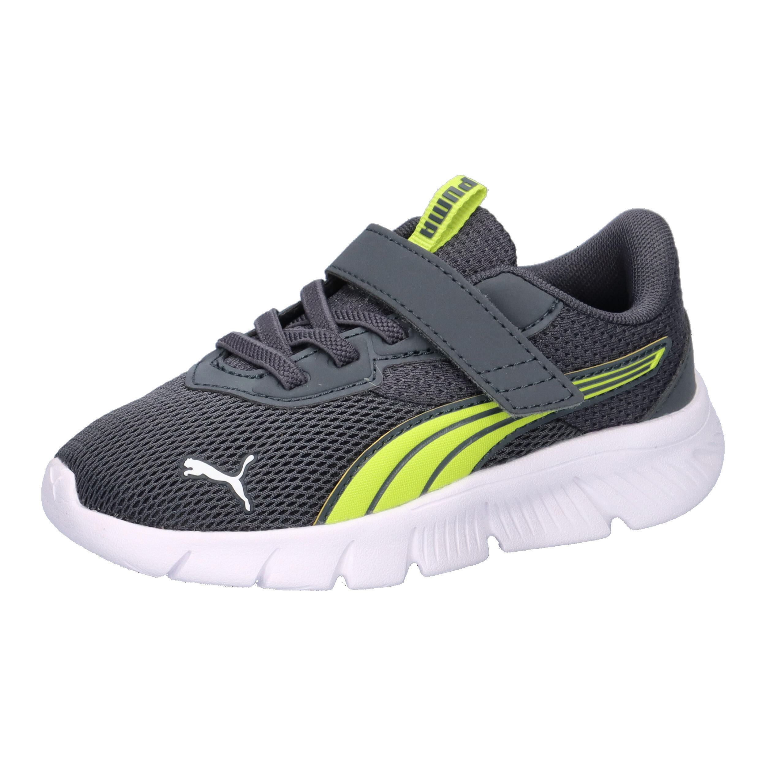 PUMA picture