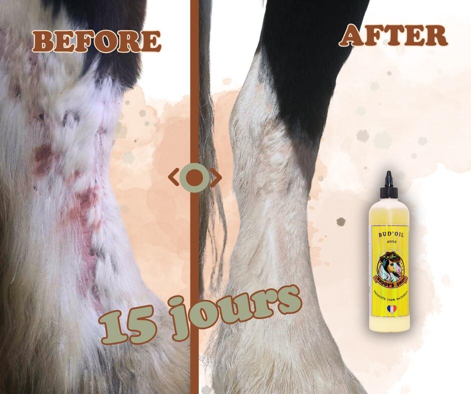Bud’Oil – Huile de confort naturelle assainissante & répulsive 4/7