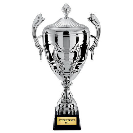 Coupe prestige 100% métal argent hauteur 65 cm diamètre 240 mm