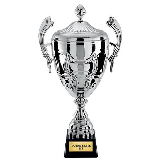 Coupe prestige 100% métal argent hauteur 65 cm diamètre 240 mm