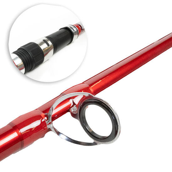 Red Devil Surf TX canne surf 3 brins 4.20m 100-200g