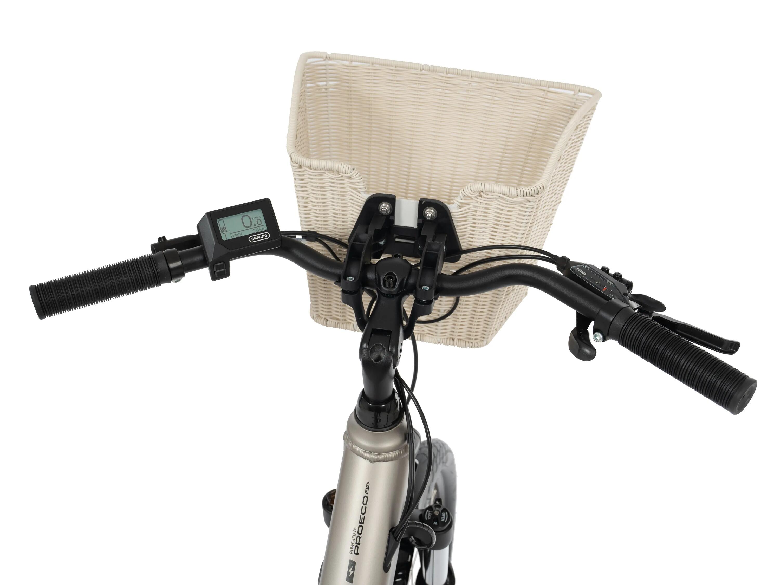 Rower elektryczny dla dorosłych PROECO:ON WAVE 1.0 504Wh 3/7