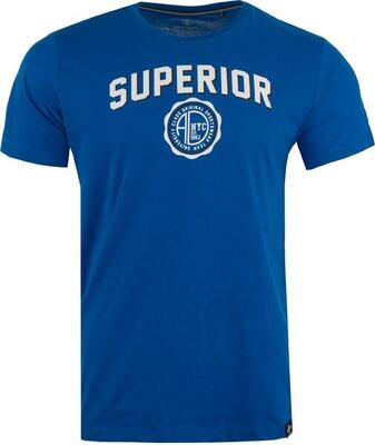 Heren t-shirt athl. dpt. ducio royal, m