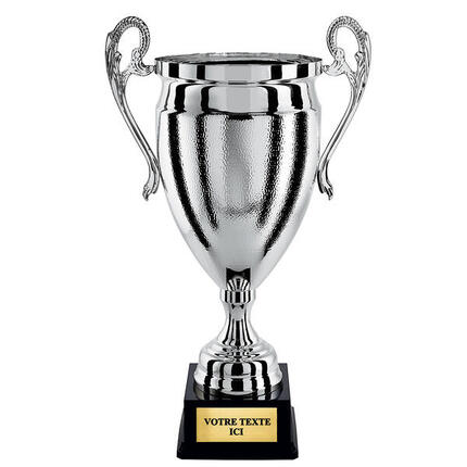 Coupe prestige 100% métal argent hauteur 75 cm diamètre 280 mm