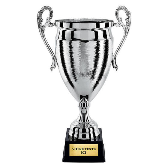 Coupe prestige 100% métal argent hauteur 75 cm diamètre 280 mm