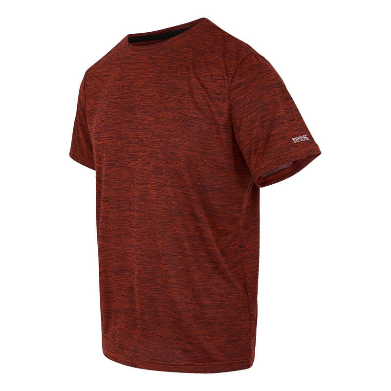 Tricou Drumeții În Natură Regatta Fingal Edition Marnă Bărbați