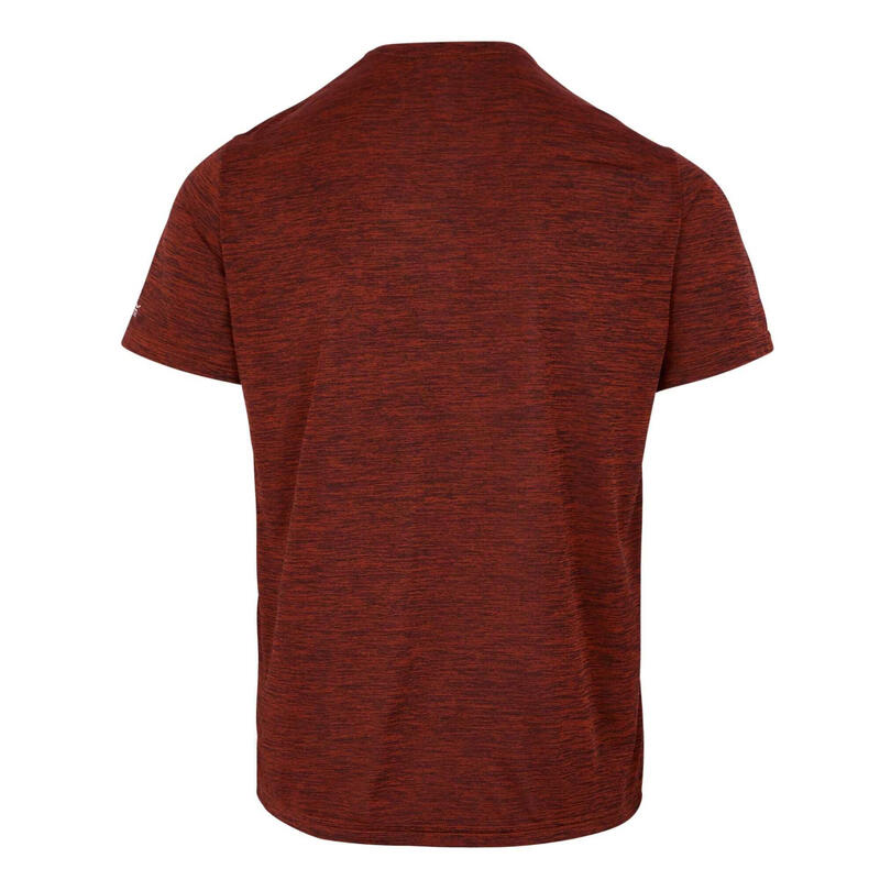Tricou Drumeții În Natură Regatta Fingal Edition Marnă Bărbați