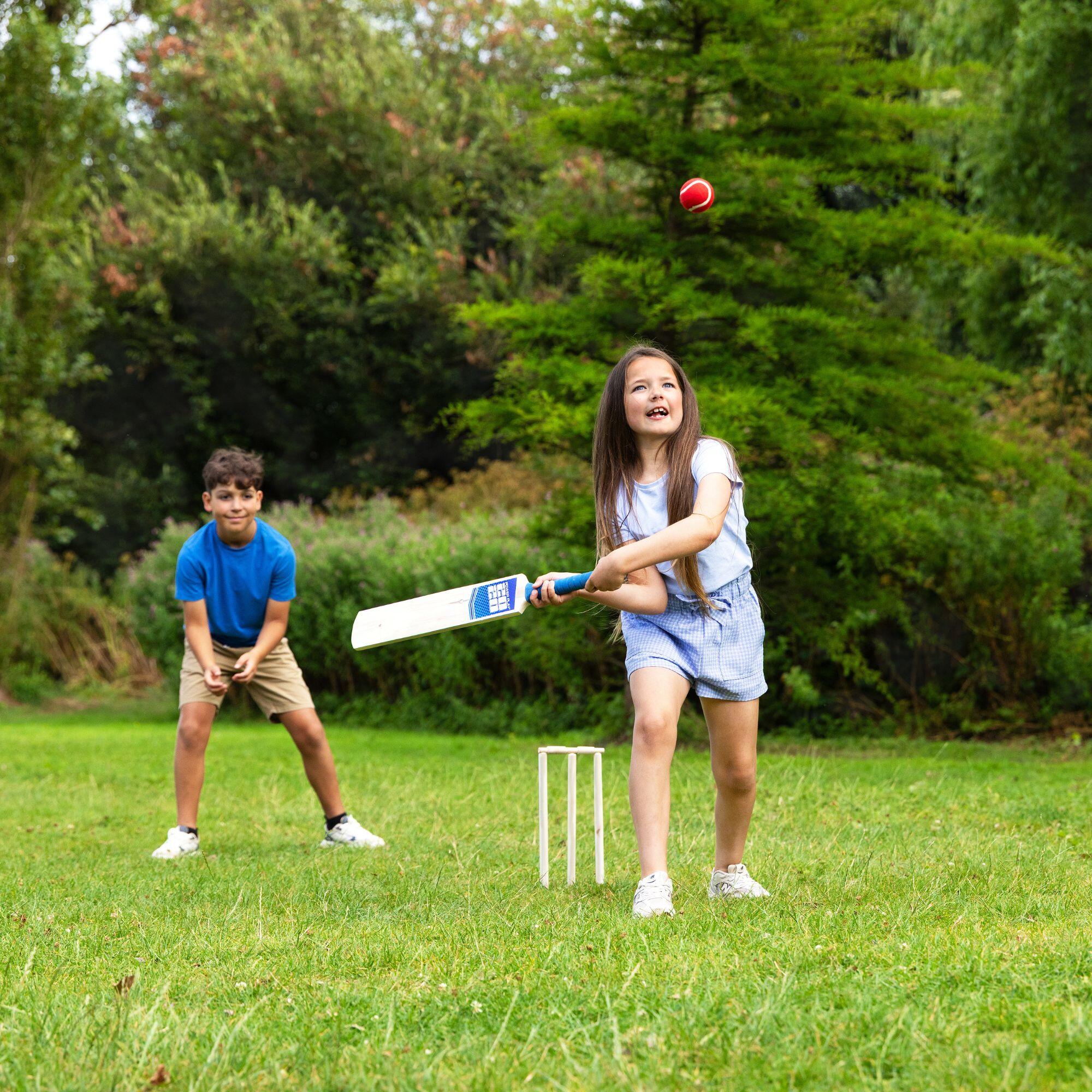 PowerPlay Deluxe Cricket Set with Bat, Ball, 4 Stumps, Bails and Bag, Blue 2/7
