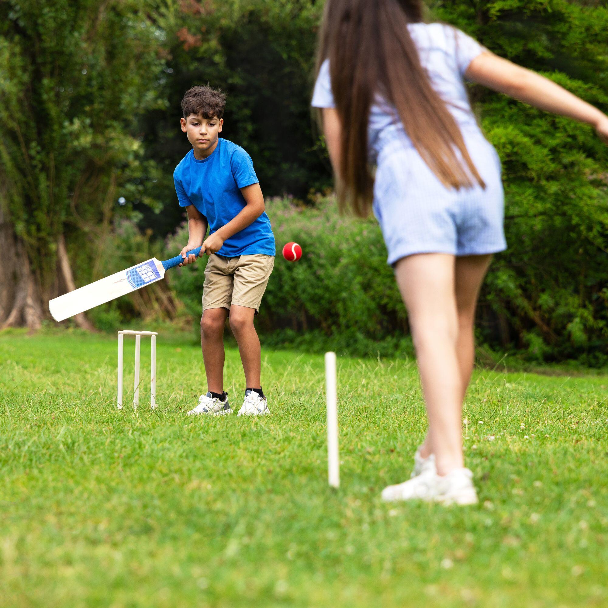 PowerPlay Deluxe Cricket Set with Bat, Ball, 4 Stumps, Bails and Bag, Blue 4/7