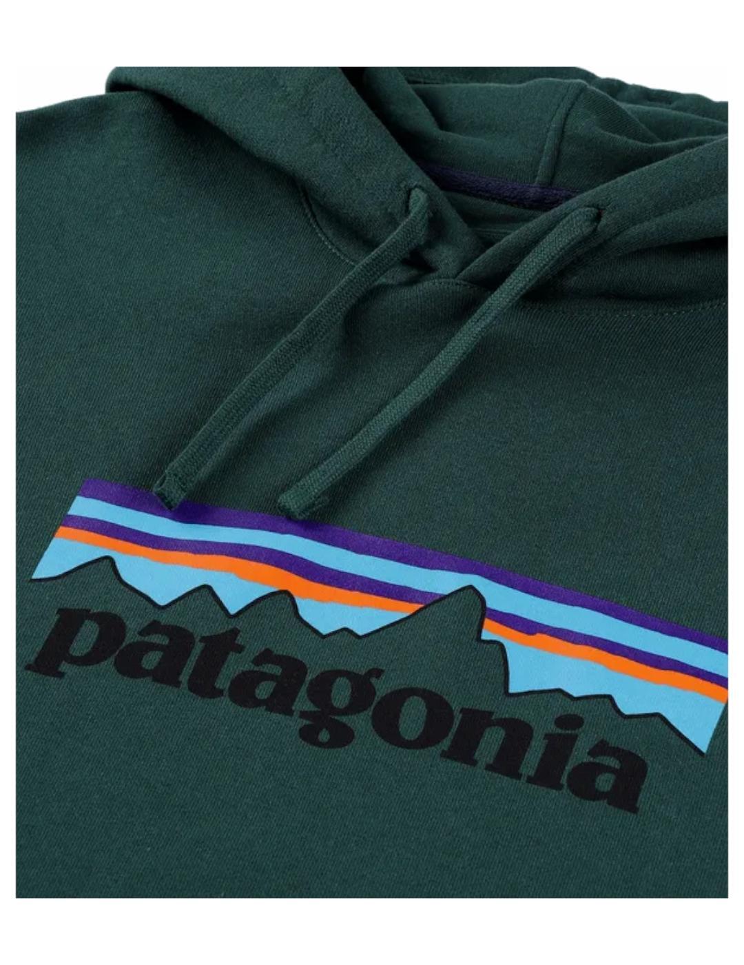 Jersey y sudadera para Hombre Patagonia P-6  Verde 2/2