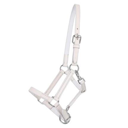 Licol pour cheval en cuir Q-essentials