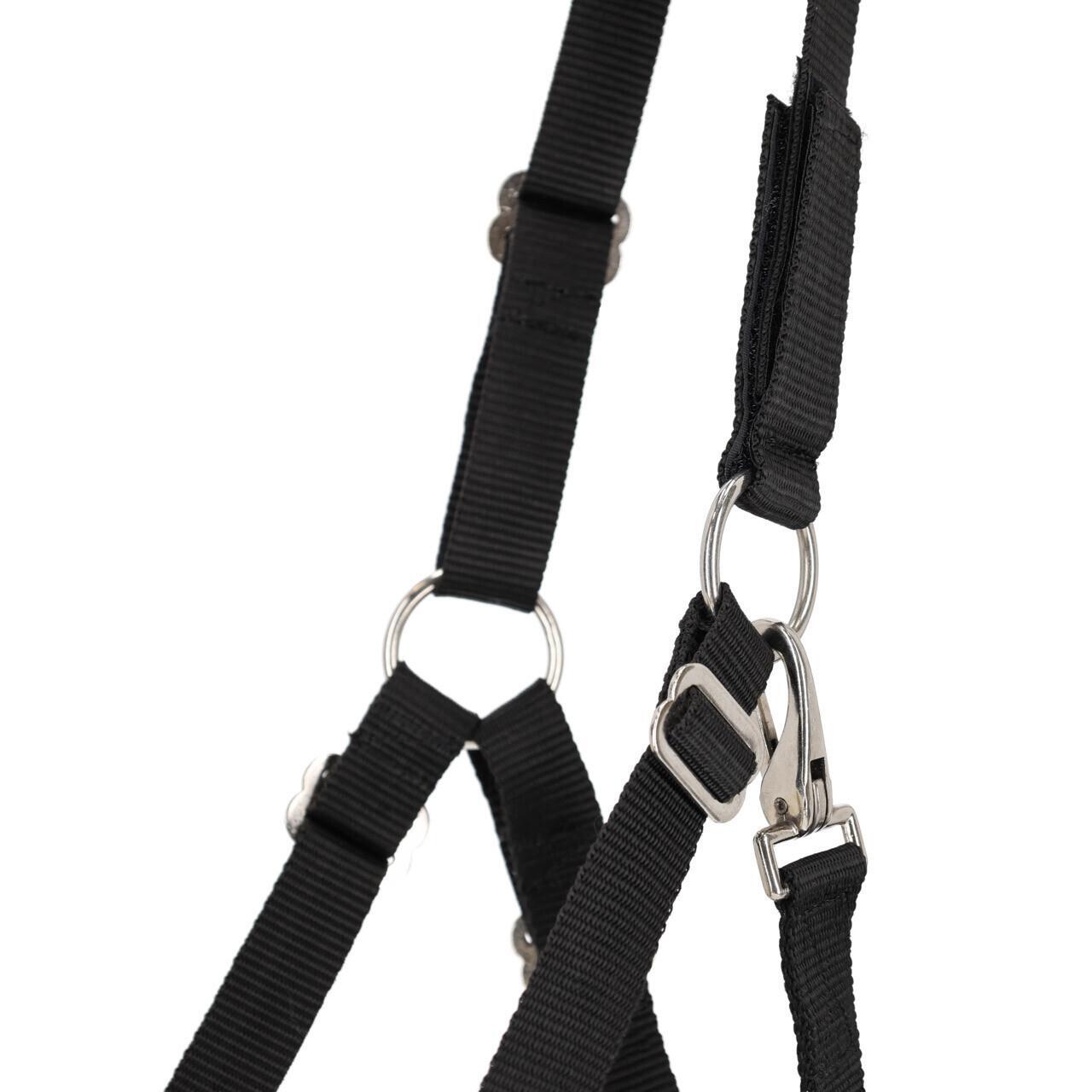 Freni per cavallo con muso in lana e fori nasali QHP 4/4