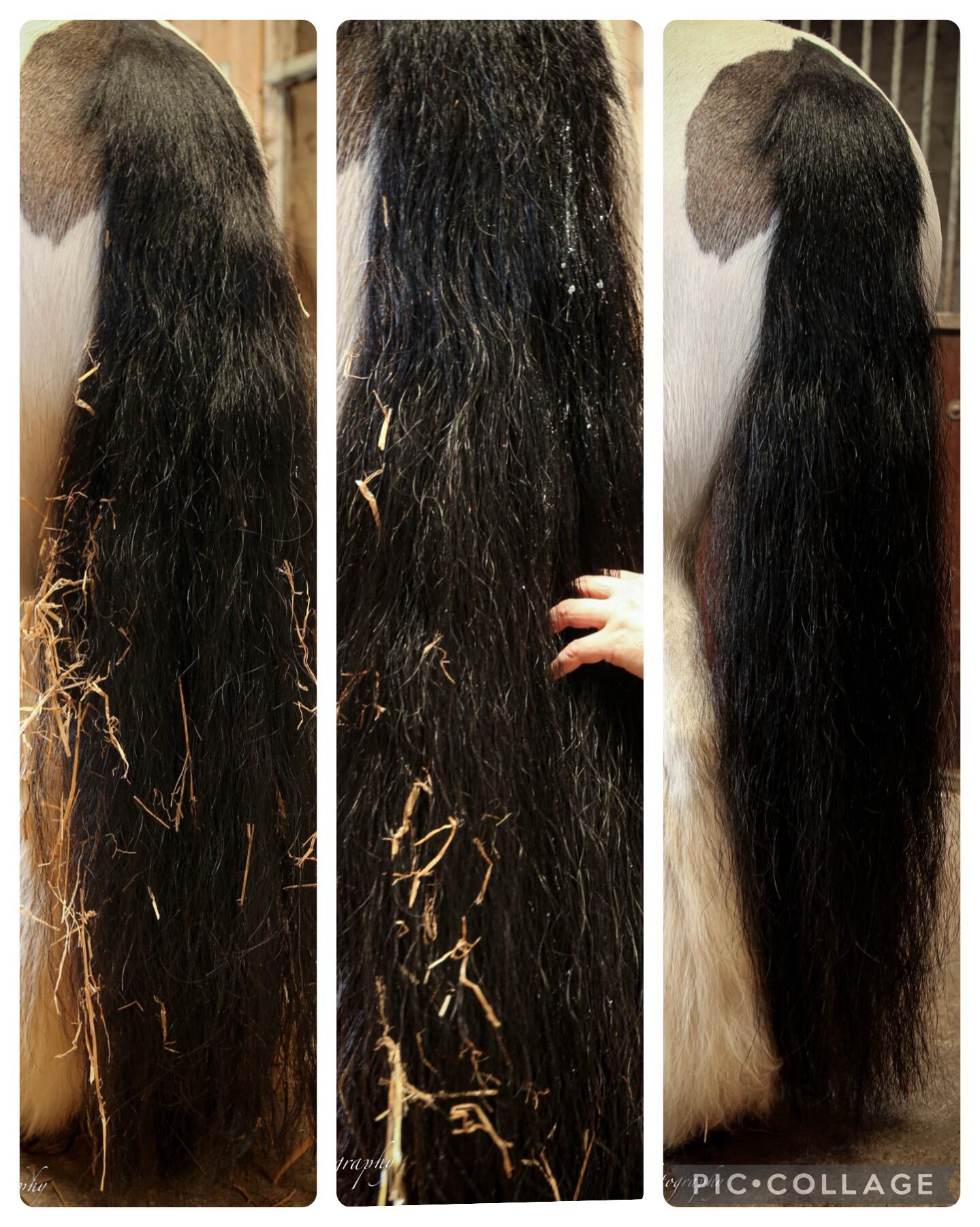 Hair Shine : Creme demelante pour une criniere eclatante. 5/5