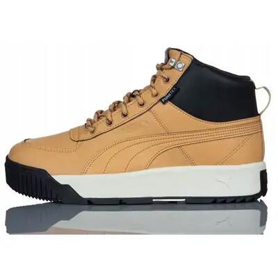 Schoenen universeel voor heren puma tarrenz sb puretex