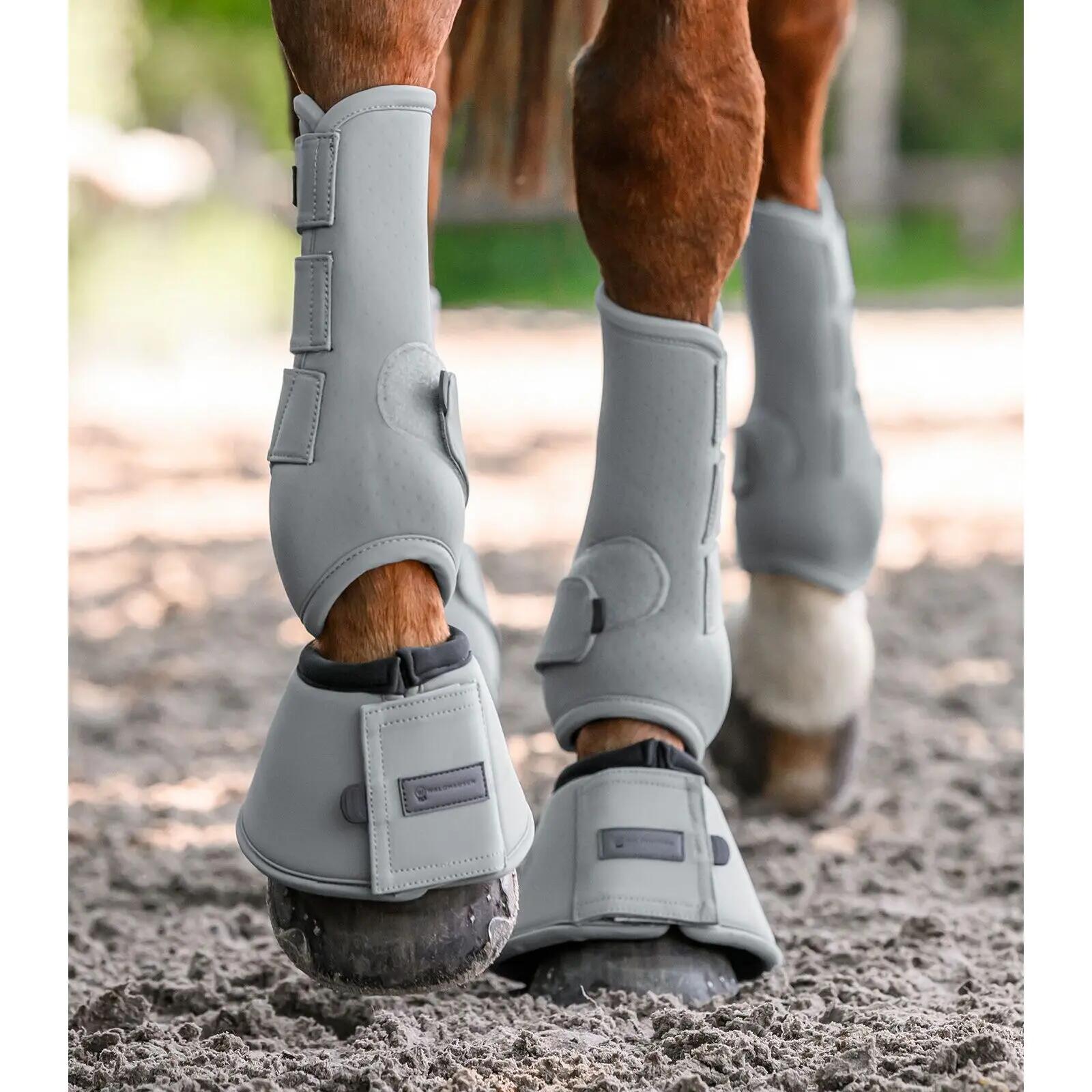 Paardenbellen Waldhausen Performance 5/5