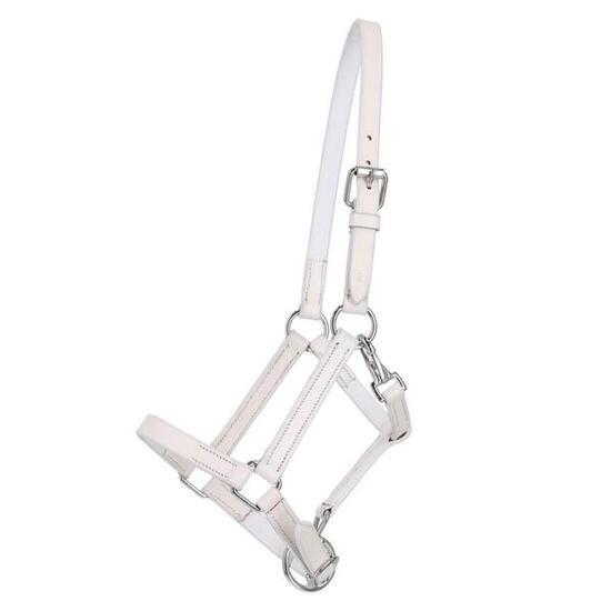 Licol pour cheval en cuir Q-essentials