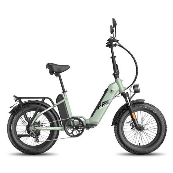 FAFREES FF20 Polar elektrische fiets - 48V 13,4AH accu (* 2), 20-inch banden