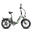 Bicicletă electrică FAFREES FF20 Polar - Baterie 48V 13.4AH (* 2)