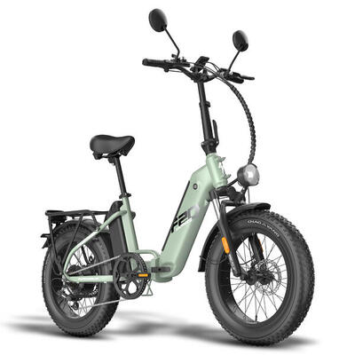 Bicicletta elettrica pieghevole FAFREES FF20 Polar doppia batteria da 48V 24Ah