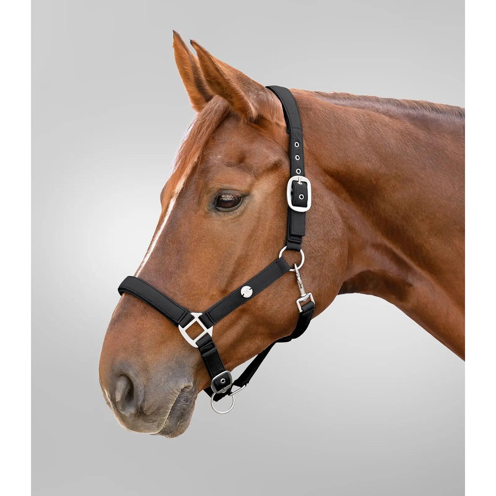 Halster voor paarden Waldhausen Trinidad 2/2