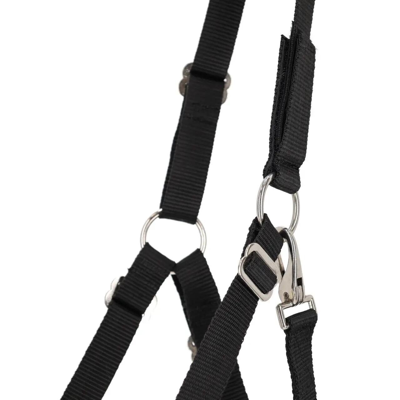 Muselière pour cheval avec licol mouton avec narines QHP 4/4