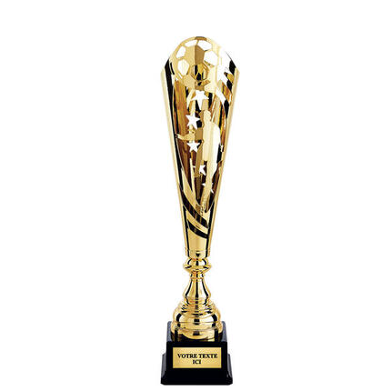 Coupe discipline or hauteur 48 cm