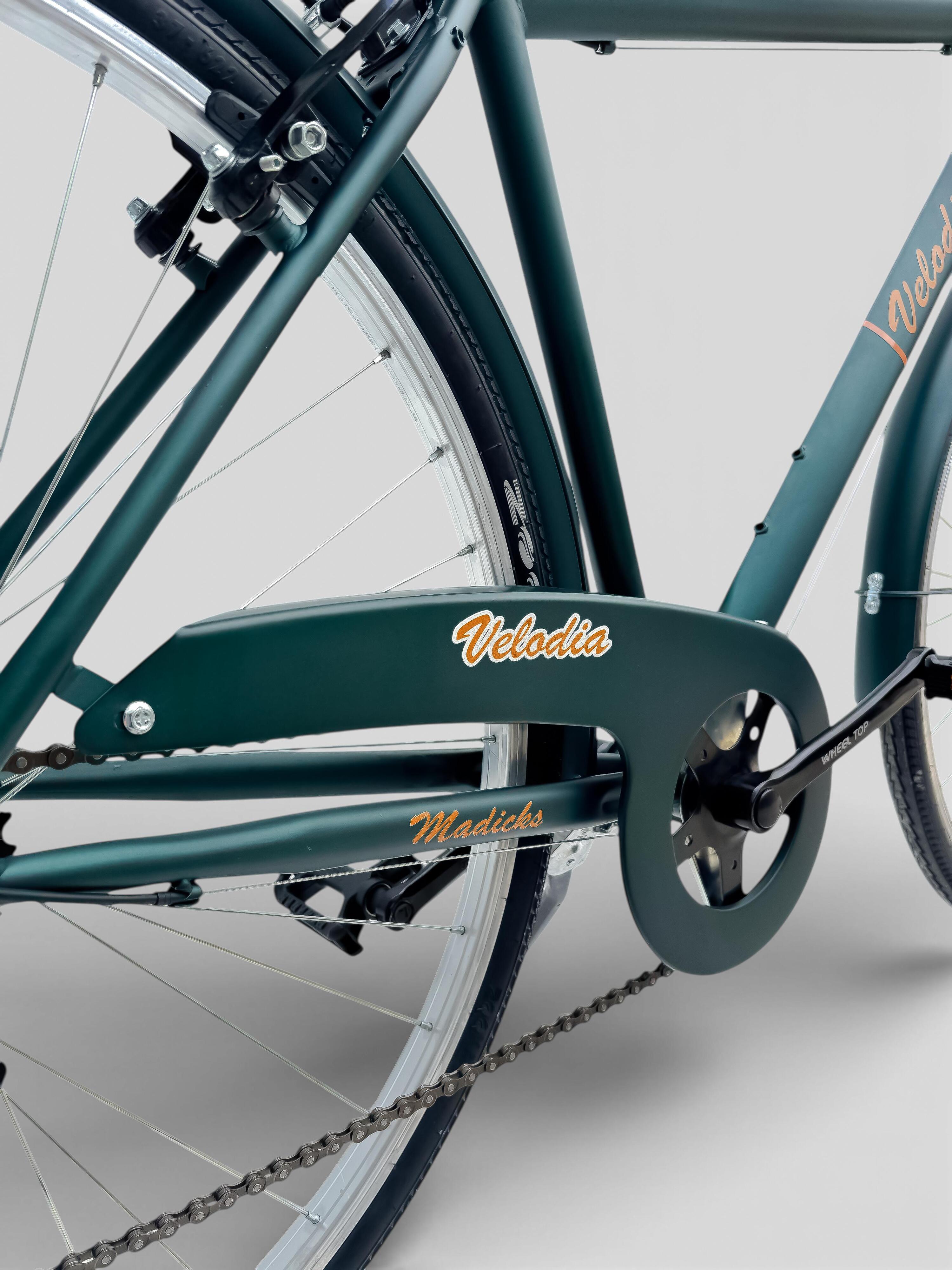 Bicicletta Misura 28 Bici Uomo Passeggio Da Città Con Cambio Verde Vintage Retrò 5/8