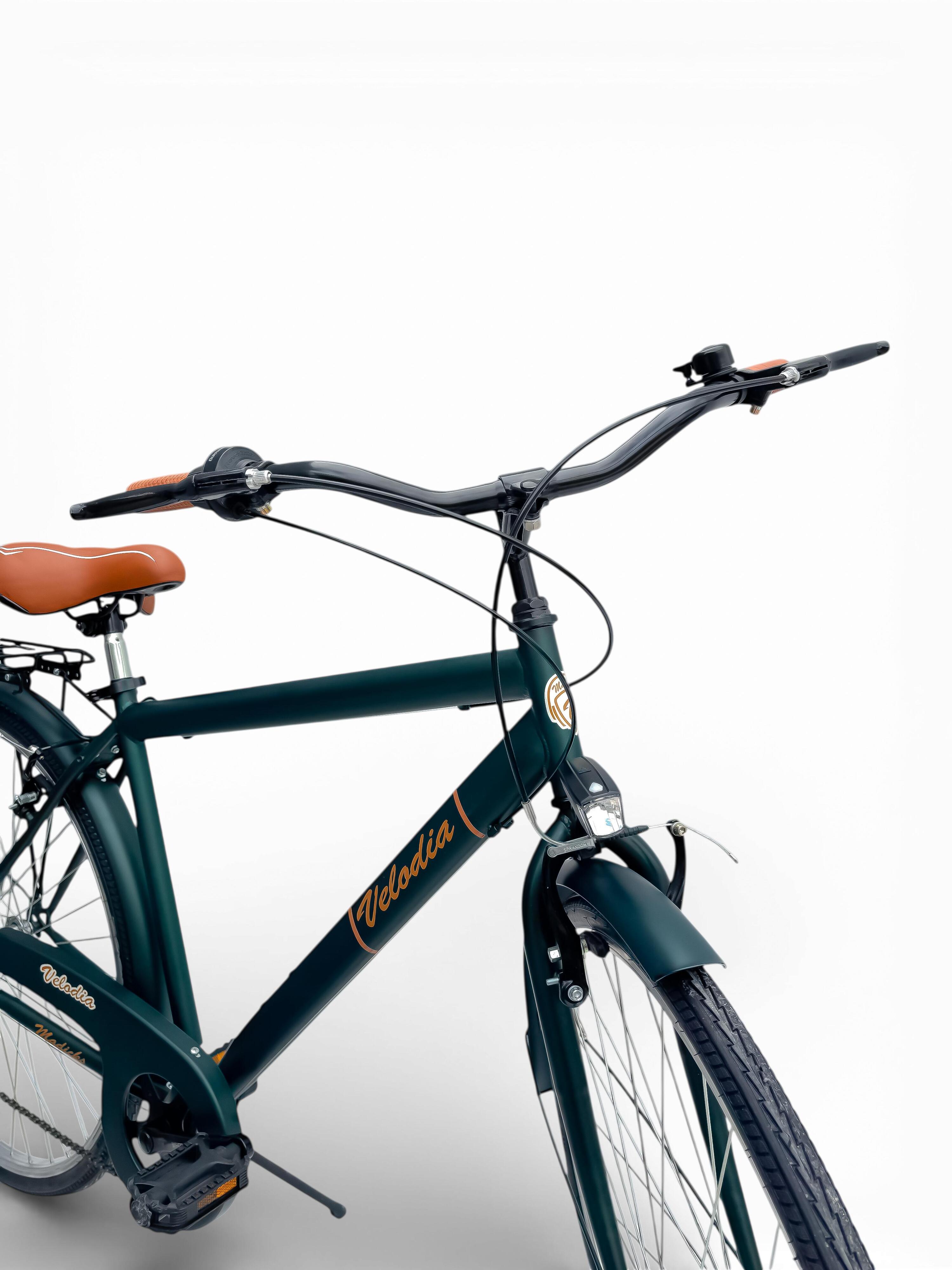 Bicicletta Misura 28 Bici Uomo Passeggio Da Città Con Cambio Verde Vintage Retrò 6/8