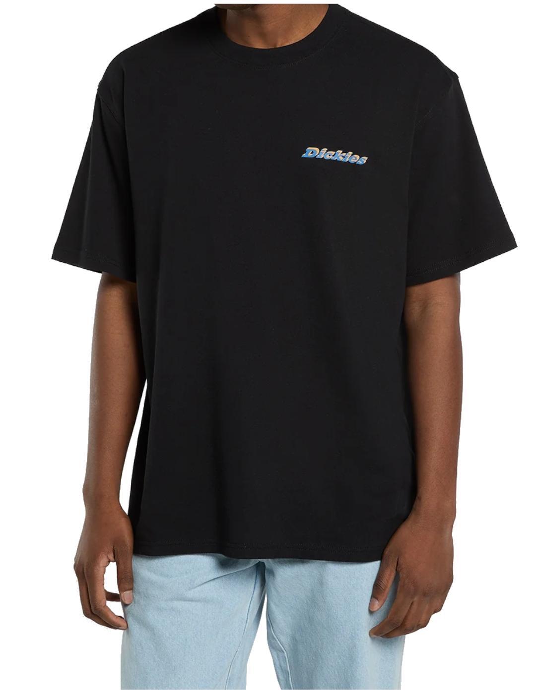 Camiseta para Hombre Dickies  thornville ss  Negro 1/6