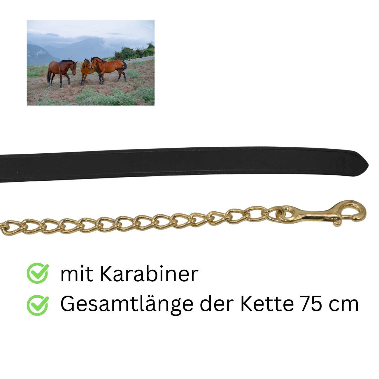 Führleine Führkette aus Leder mit messingfarbener  Kette 75 cm Gesamtlänge 270 3/4
