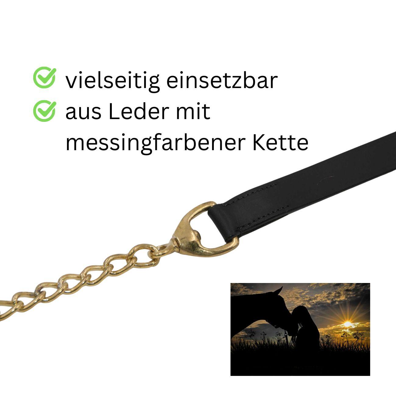 Führleine Führkette aus Leder mit messingfarbener  Kette 75 cm Gesamtlänge 270 2/4