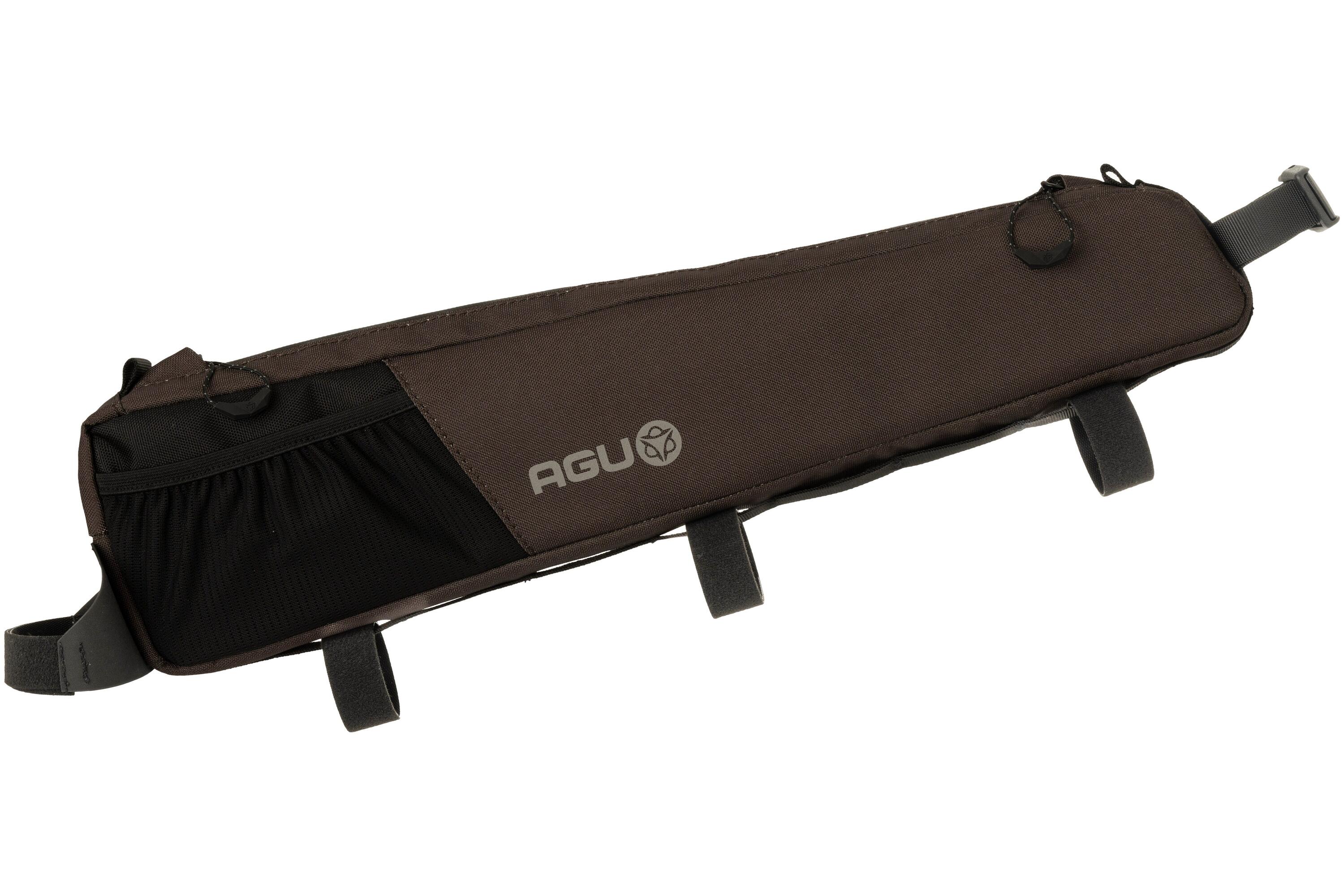AGU picture