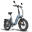 Bicicletă electrică pliabilă FAFREES FF20 Polar, baterii duble de 48V 24Ah