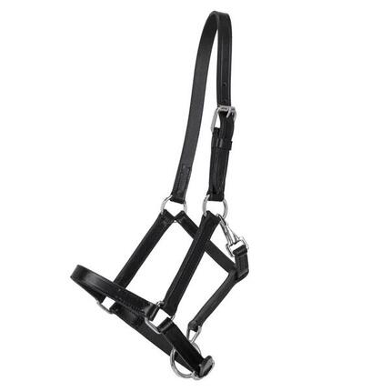 Licol pour cheval en cuir Q-essentials