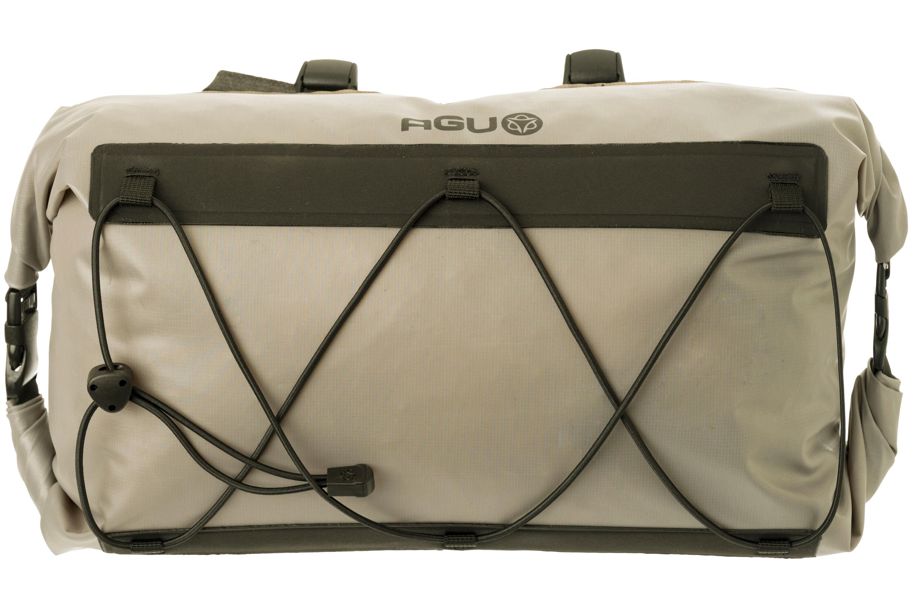 AGU picture