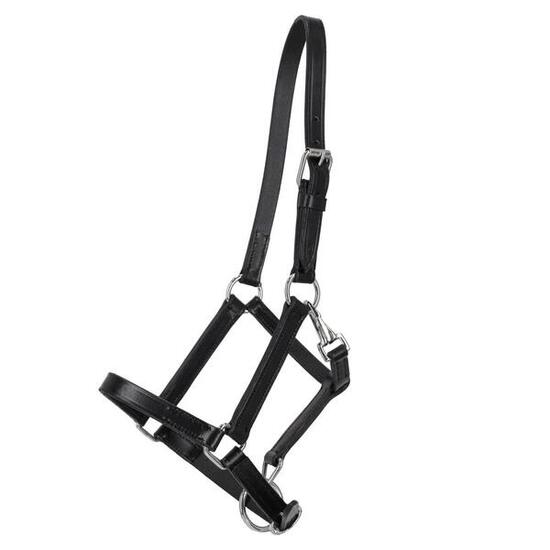 Licol pour cheval en cuir Q-essentials